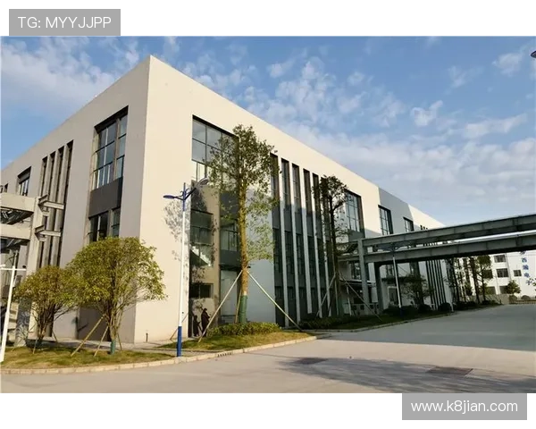 凯发体育集团网址查询官网官方入口最新更新及访问方法介绍