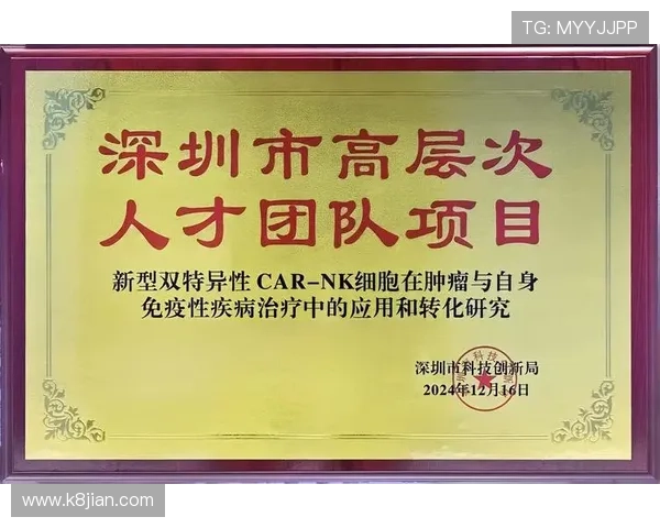 如何快速找到k8凯发官网入口,详细步骤帮助新手玩家轻松进入游戏世界 如何快速找到k8凯发官网入口,详细步骤帮助新手玩家轻松进入游戏世界